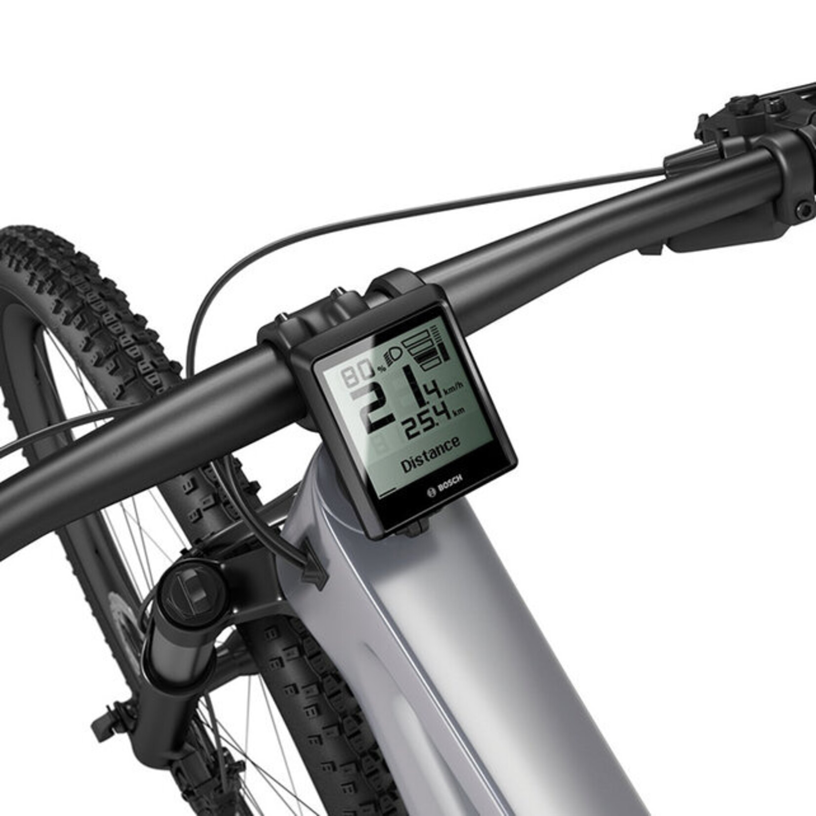 Ebike-Intuvia 100 Display