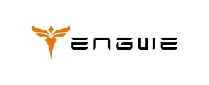 Engwe