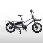 estarli Ebike-Longtail