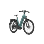 Gazelle Ebike-Display Model-Eclipse T11 L50 S11 HMB