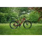 Roxform Ebike-Gravion 460.8Wh Red
