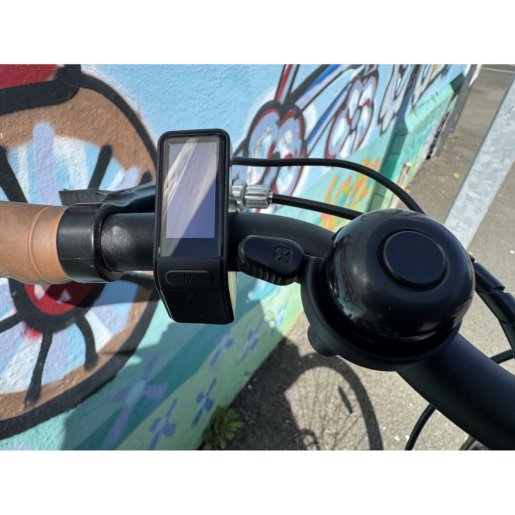 Secondhand Raleigh Array Step Through