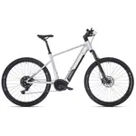 Ebike-eXC 6.3 625Wh 46cm
