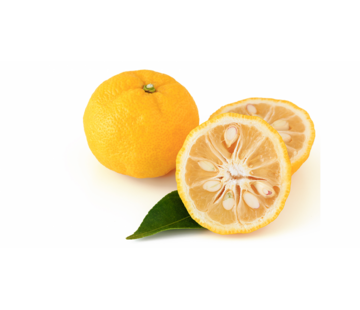 Dutch Wasabi Dutch Ripe yellow Yuzu