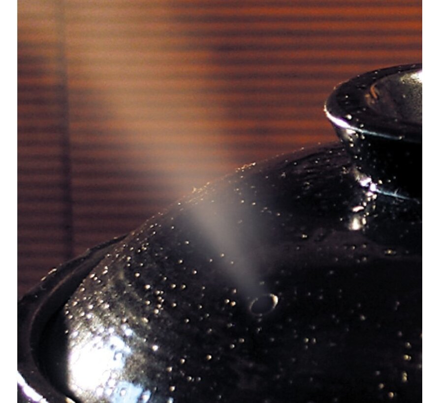 Kamado-San 5 Cups rice cooker