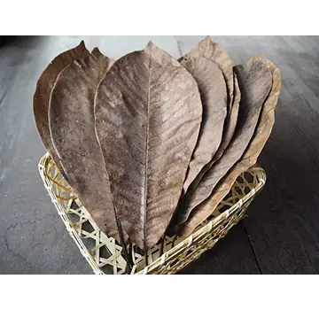 NISHIHARA Hoba Leaves (Dried, Brown) 50pcs