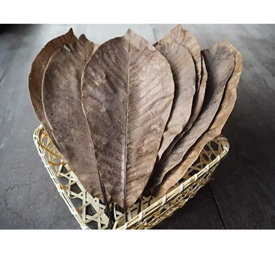 Hoba Leaves (Dried, Brown) 50pcs