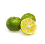 Dutch Wasabi Sudachi