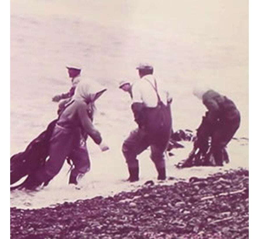 Cut shiroita kombu (for battera sushi) - 100 sheets (6,5 x 19 cm)