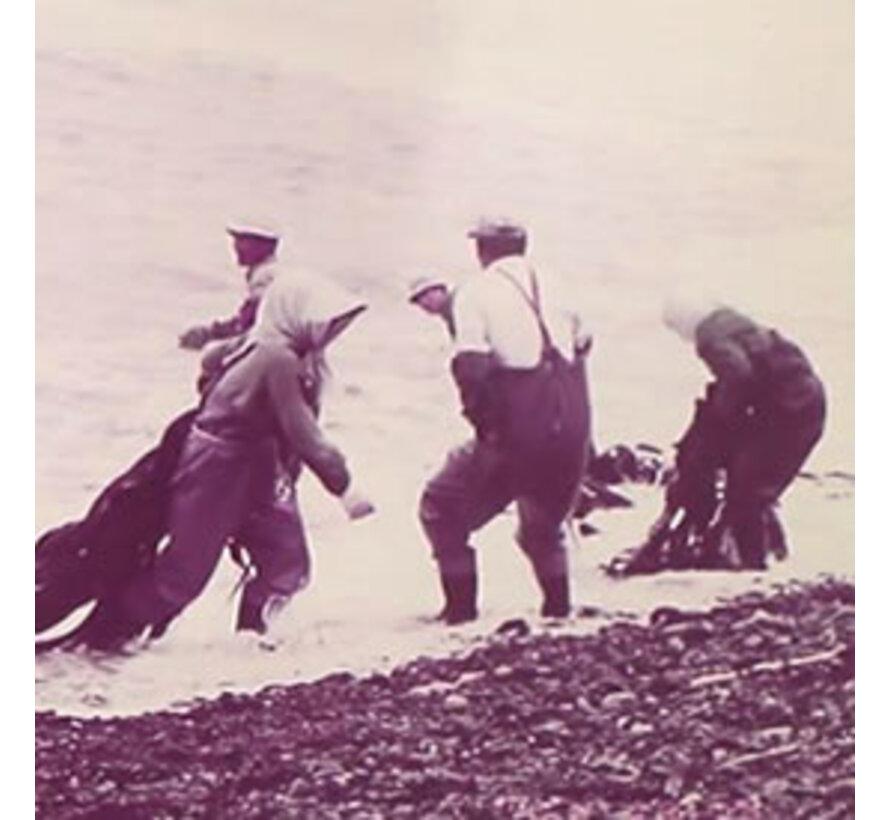 White shiroita battera kombu - 100 sheets (350 grams)