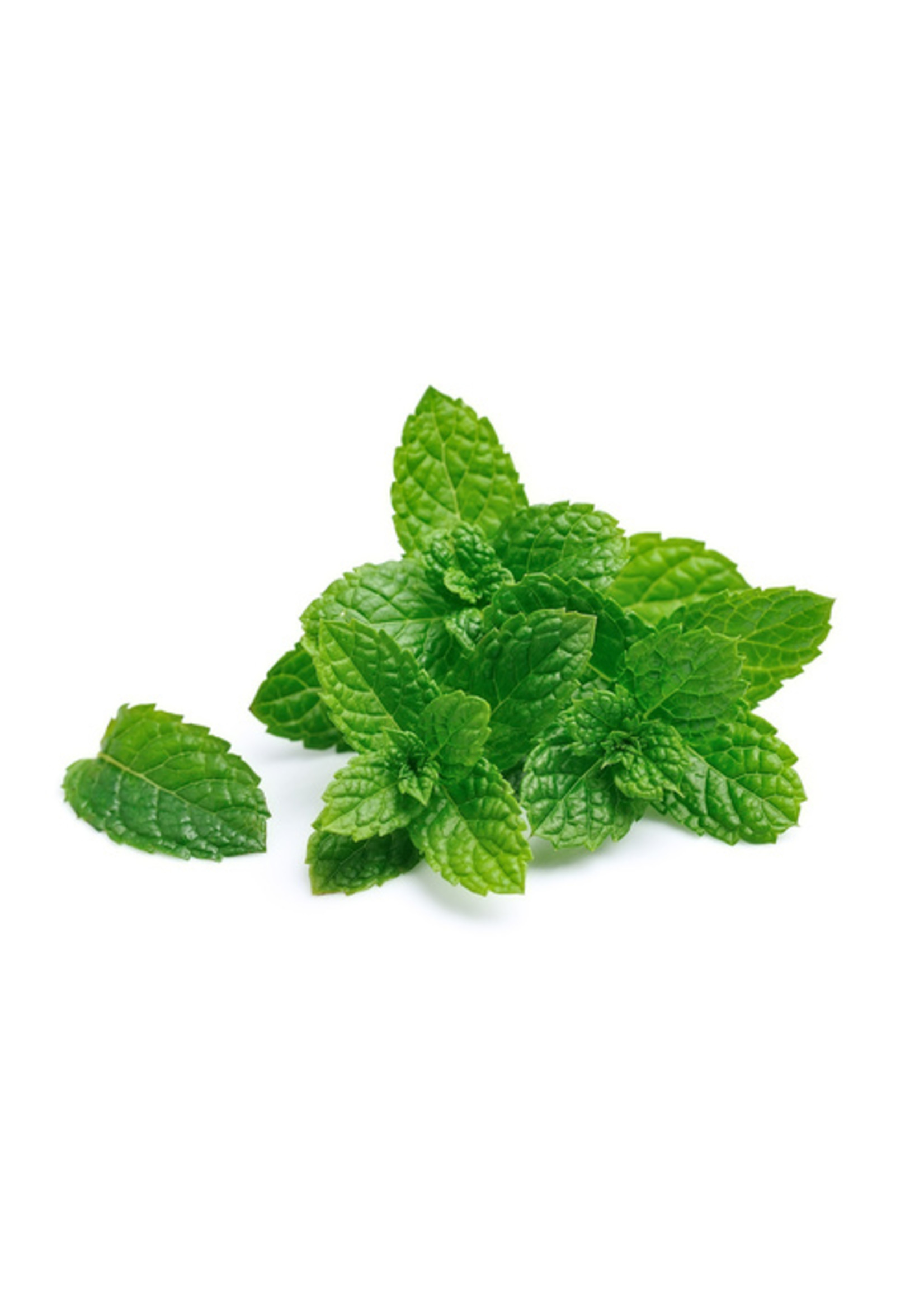 Marokkaanse munt stuk