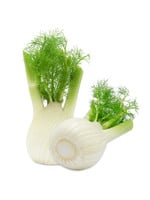 Venkel verpakt per 2 stuks