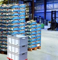 Plastic warehouse crates