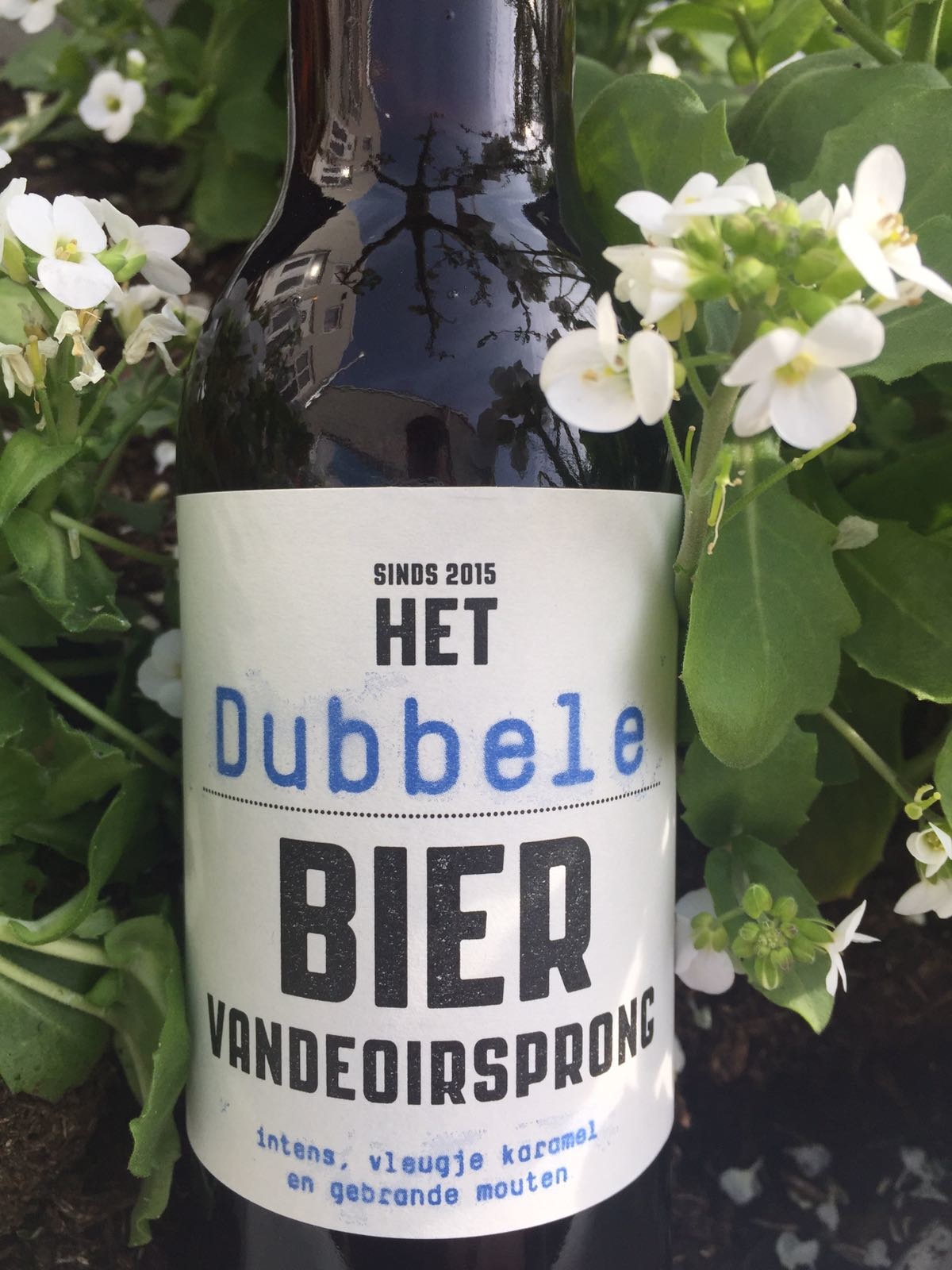 Het Dubbele Bier Herkomst: Oirschot, Nederland Dit bier is net als een kermis. De zuurstokken en wijnballen springen er meteen bovenuit als je aan het bier ruikt. Na wat getouwtrek beschrijven wij de smaak als framboosachtig in combinatie met suikerspinnen wat uiteindelijk botst tegen zuur. Het dubbele bier is een carrousel van smaak-nuances wat aangeeft dat je na het drinken van dit bier niet thuis komt van een koude kermis. Grijp dit biertje snel uit de doos en geniet ervan. Het bier bevat een alcoholpercentage van 6,7 graden. Advies serveertemperatuur 6 à 7 graden. 