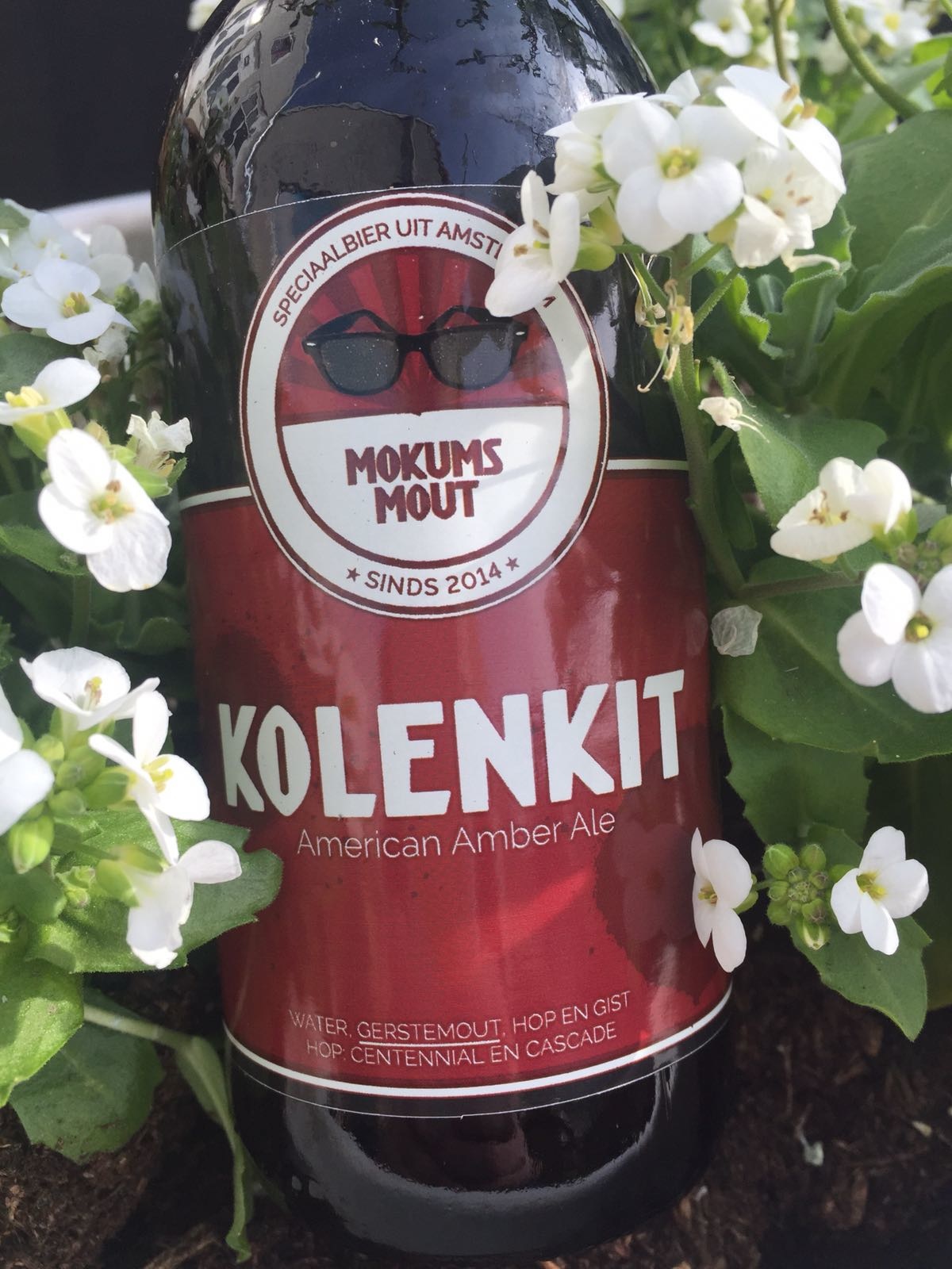 Kolenkit Herkomst: Amsterdam, Nederland De bruinrode kleur verwijst naar de kleur van de stenen van de kerk in Amsterdam. Deze kerk heeft de bijnaam Kolenkit. De kleur is niet zwart zoals kolen maar het is een troebele red ale. Een mooi fris gebalanceerd speciaalbier waarin je limoen proeft wat doorzet tot in de afdronk. In de geur herken je trekdrop. De hopsoorten in dit bier zijn Galena en Cascade. Mokums Mout bestaat sinds 2015 en is een brouwerij opgezet door 3 jongens buiten de brouwwereld. Ben je benieuwd naar hun achtergrond. Je kunt het lezen op hun site. Het bier bevat een alcoholpercentage van 6,5%. Advies serveertemperatuur 6 graden 