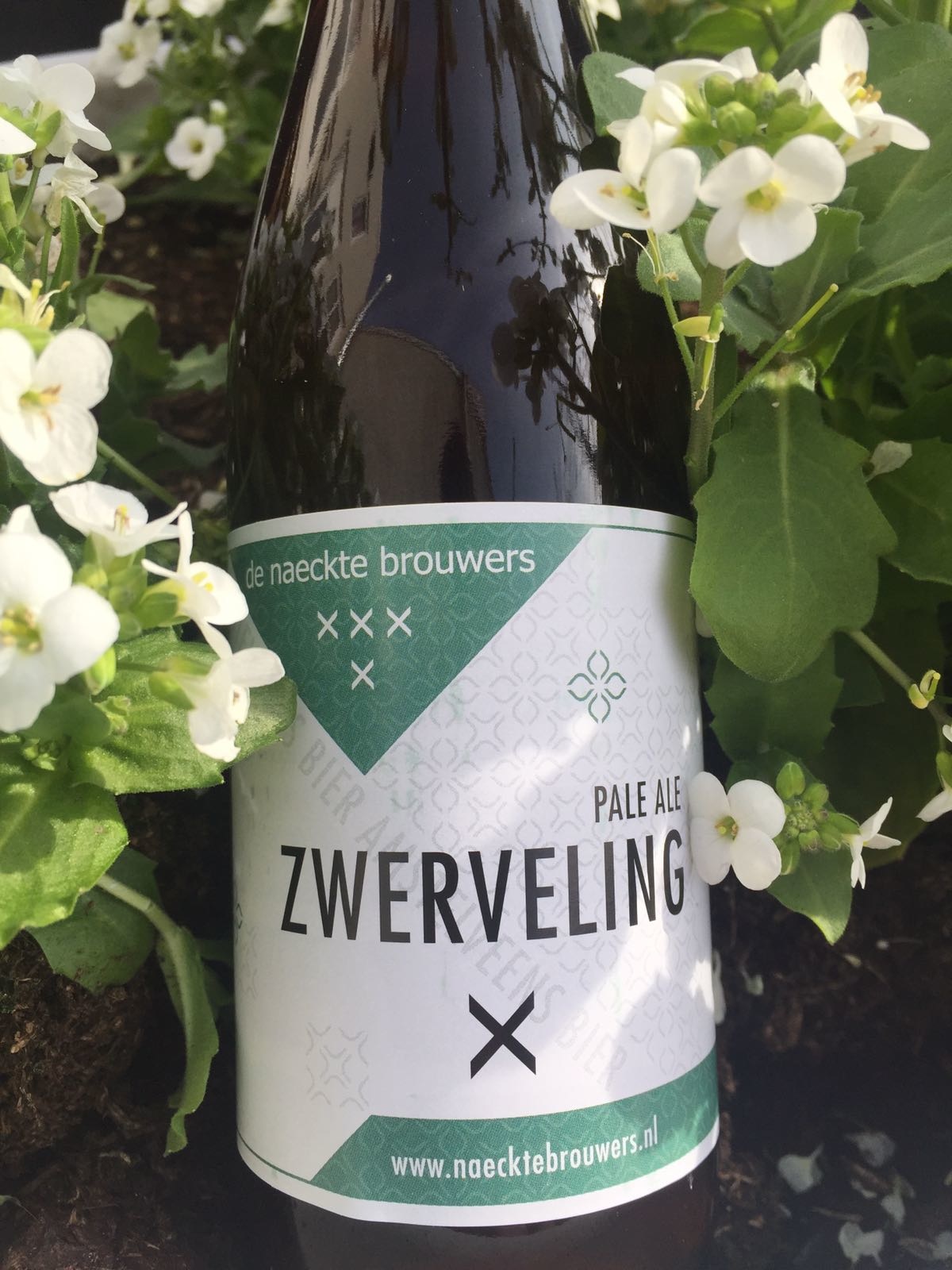 Zwerveling Herkomst: Amstelveen, Nederland Deze pale ale heeft een gedurfde bitterheid en is duidelijk aanwezig. De Naeckte Brouwers is ontstaan na 12 jaar hobbybrouwen en zij zijn nu stevig aan de weg aan het timmeren om meerdere succesvolle bieren op de markt te zetten. Wij zijn blij dat we dit bier in ons pakket hebben want ondanks dat de brouwerij bekend is hebben wij een van de unieke bie-ren die nog niet op hun eigen site staat. Zure mayonaise met aardse tonen maken het geurenpalet compleet In de smaak is uiteraard ook bitter wat langzaam afneemt in de afdronk. Het bier bevat een alcoholpercentage van 6%. Advies serveertemperatuur 5 à 6 graden.