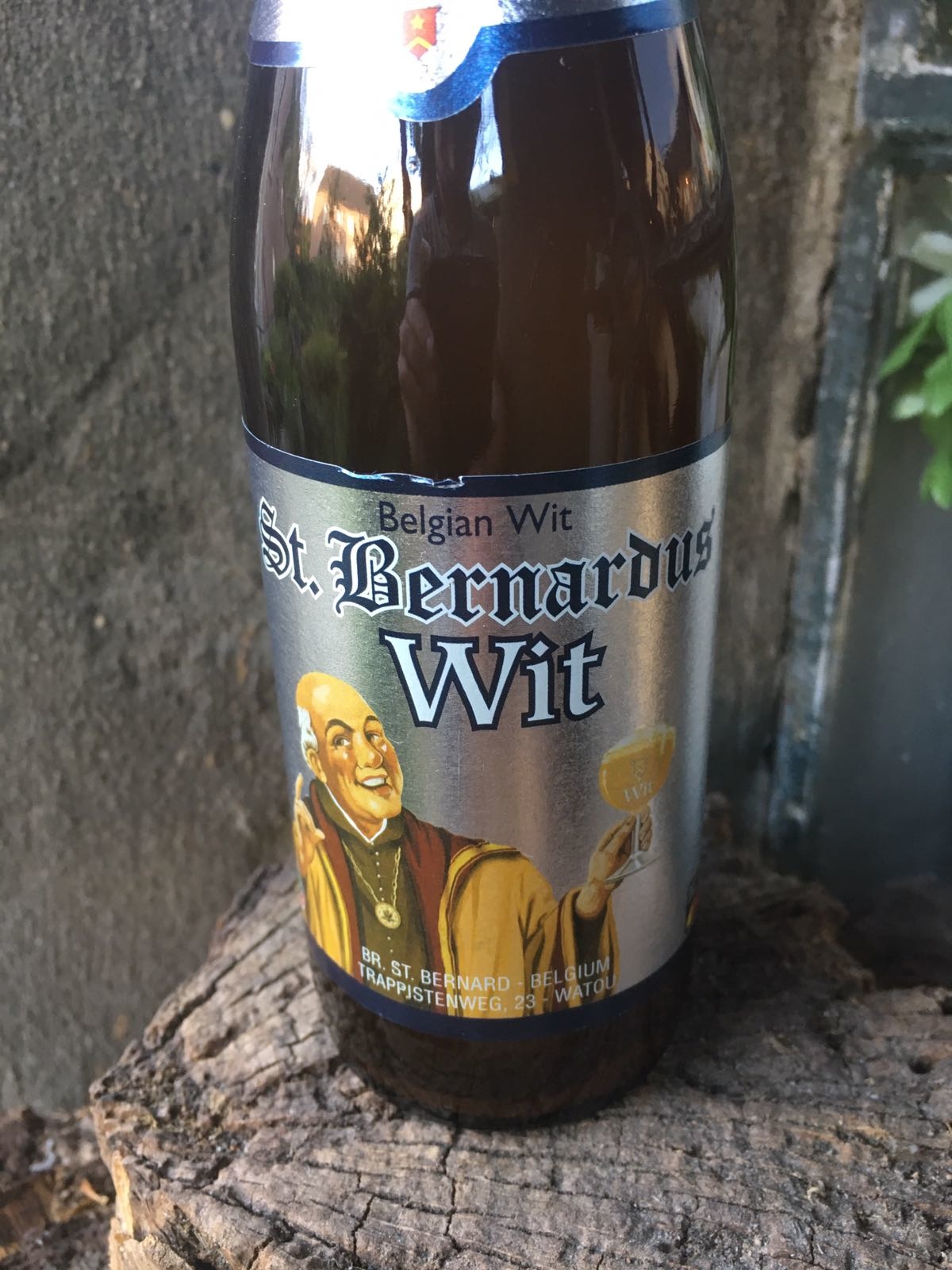 Sint Bernardus Wit 2017 Herkomst: Watou, België Troebel witbier met stevige schuimkraag. In de neus tonen van koriander en citrus. Het bier heeft een filmende bloemige smaak waarin ook de citrus weer terug te vinden is. Een zachte afdronk sluit het smakenpallet af. Als je het bier uitschenkt zie je dat er plakgist achter blijft in de fles. Dit zie je ook terug komen bij het bekende Duvel biertje. Het bevat een alcoholpercentage van: 5,5%. Advies serveertemperatuur: 4 à 5 graden.