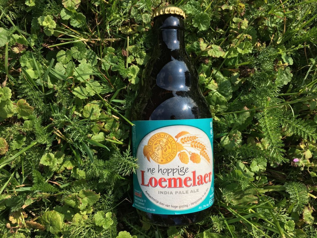 Ne Hoppige Loemelaer IPA Herkomst: Lommel, België Een India Pale Ale met tonen van citrus en hop. Het bier heeft de kleurcombinatie van perzik uit blik en abrikoos. Een fruitige geur zoals je van een IPA kunt verwachten. In de mond herken je fruitige tonen, citrus en een bittere afdronk. Ne Hoppige Loemelaer IPA is afkomstig van brouwerij Amai. Deze brouwerij heeft 12 verschillende speciaalbieren in het assortiment en brouwt alles in een batch van 65 liter. Het bier bevat een alcoholpercentage van 7%. Advies serveertemperatuur: 5 tot 7 graden.