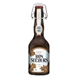 Caulier Bon Secours Brune Beugelfles Caulier Bon Secours Brune Beugelfles