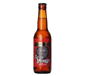 Guilty Monkey Guilty Monkey Tripel Aap 33Cl Guilty Monkey Guilty Monkey Tripel Aap 33Cl