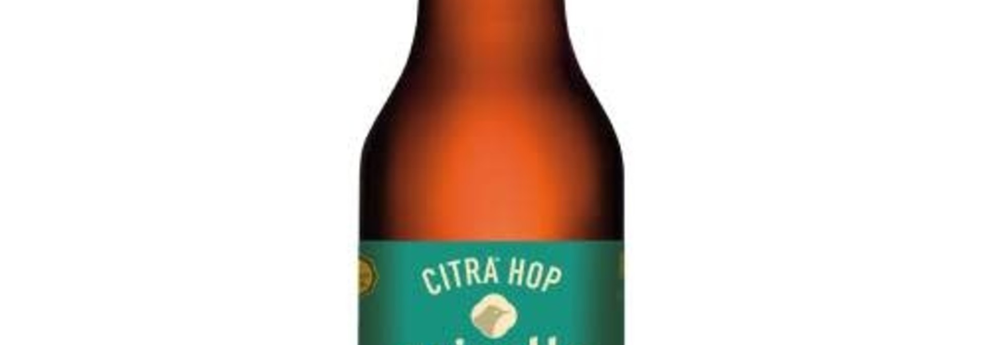 GRISETTE BIO CITRA HOP 25CL