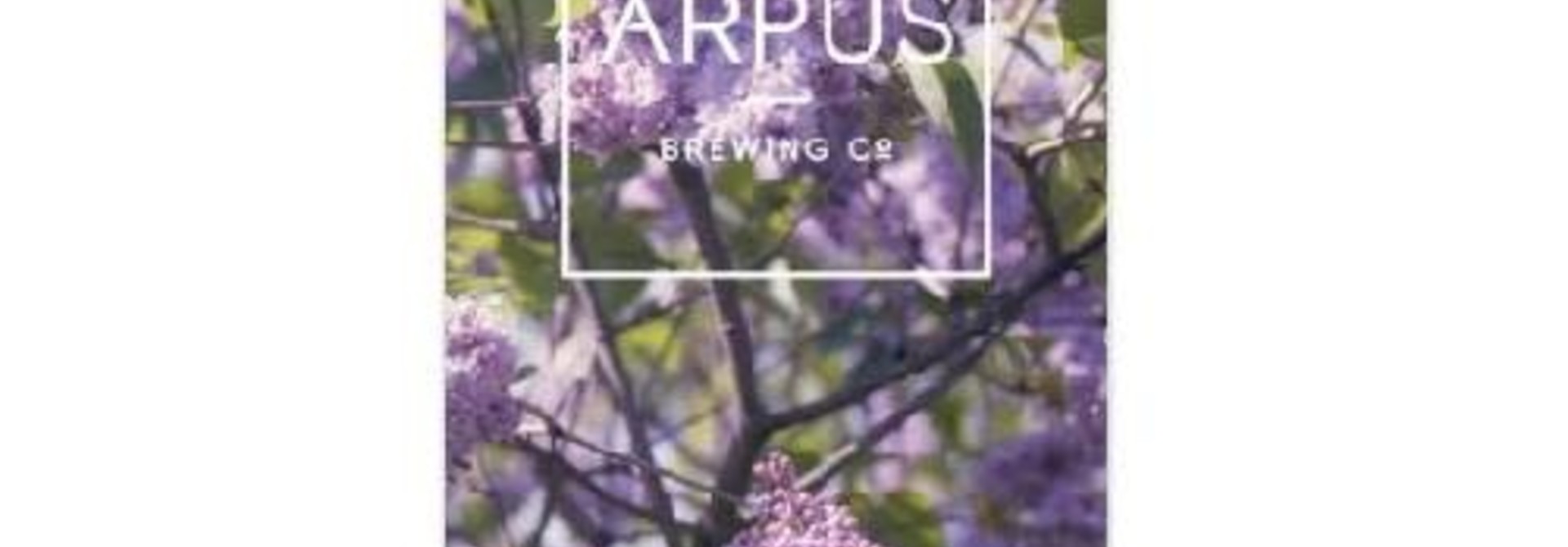 Arpus Tdh Vic Secret Spectrum x Citra x Mosaic x Enigma TIPA 10%