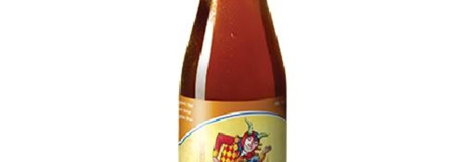 Brugse Bok Brugse Zot 33 cl 6,5%