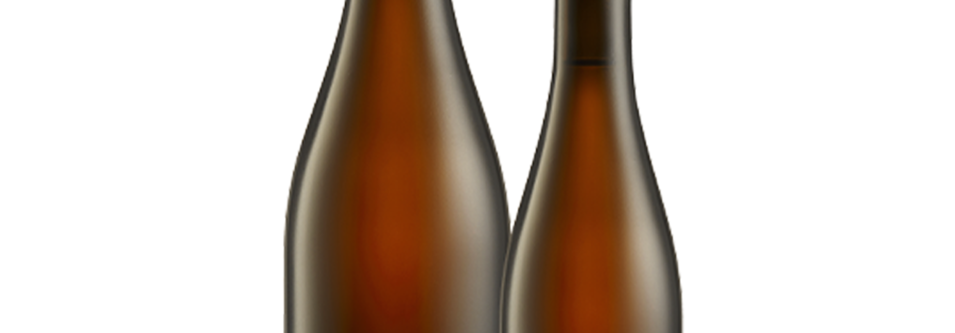 Borg Brugghus Salka Nr. 81 37,5cl 6%