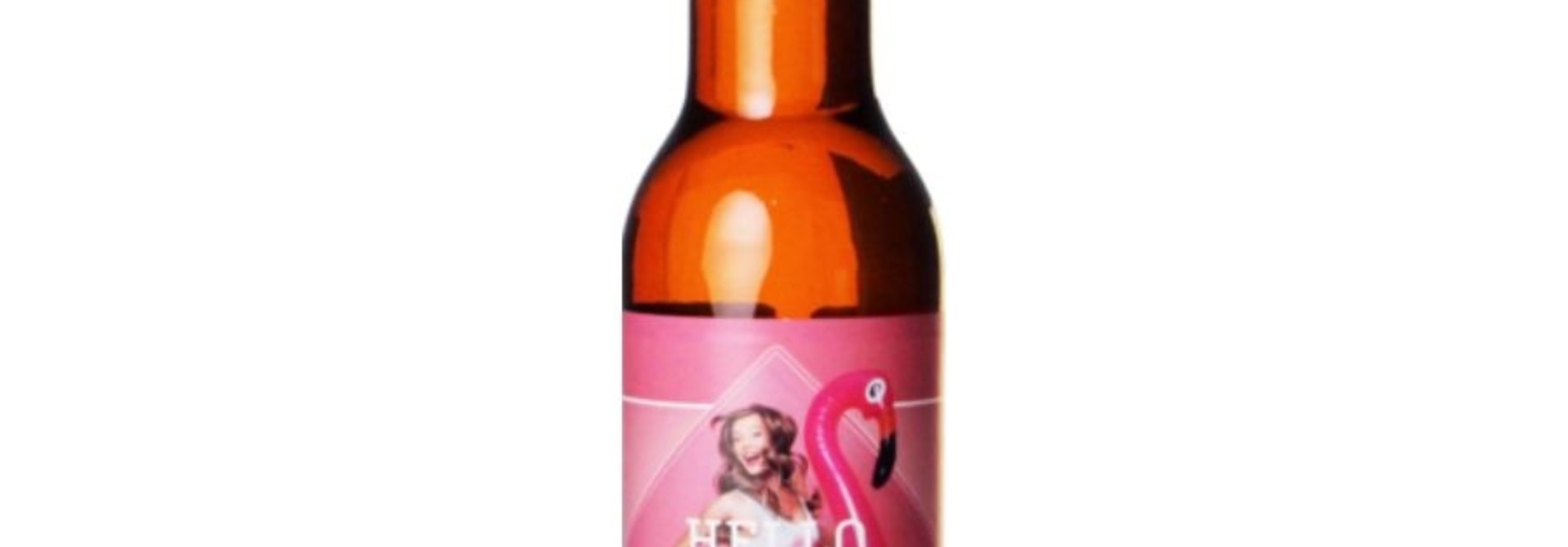 De Pimpelmeesch Hello Summer 33cl 4,2%