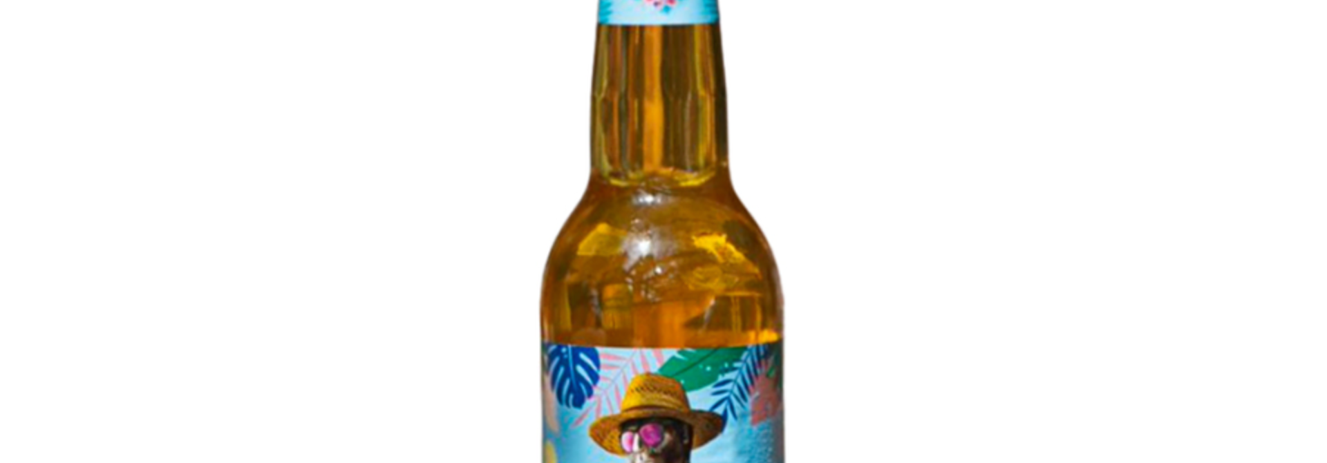Kompel Zomergoud 33cl 4,5%