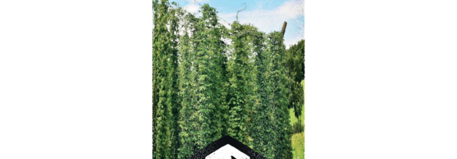 Moersleutel Sabro X7 44cl 8%