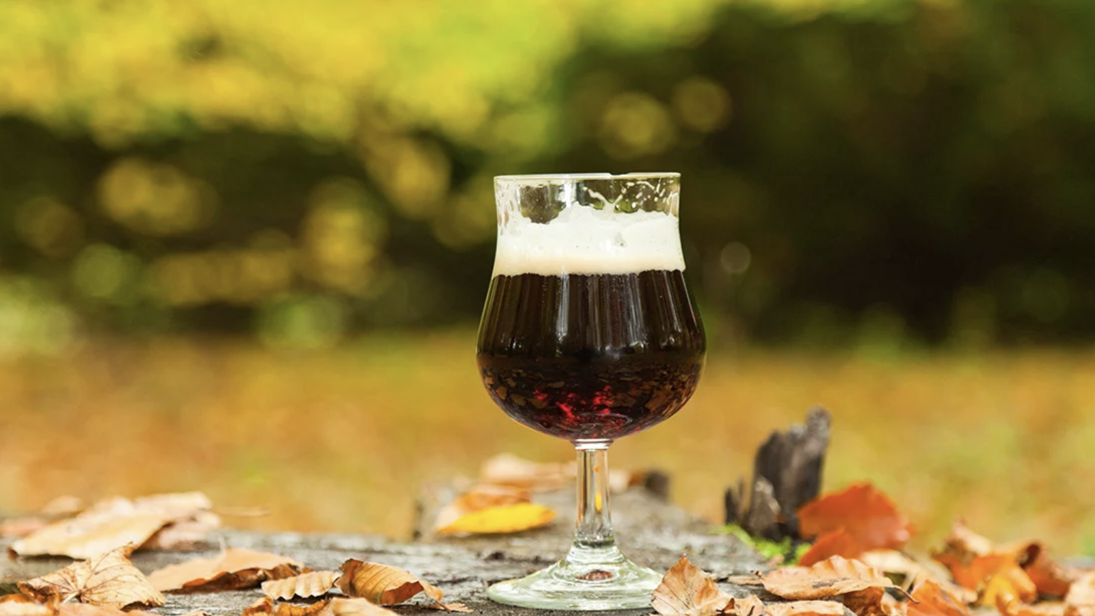 Verschillende soorten Herfstbierstijlen!