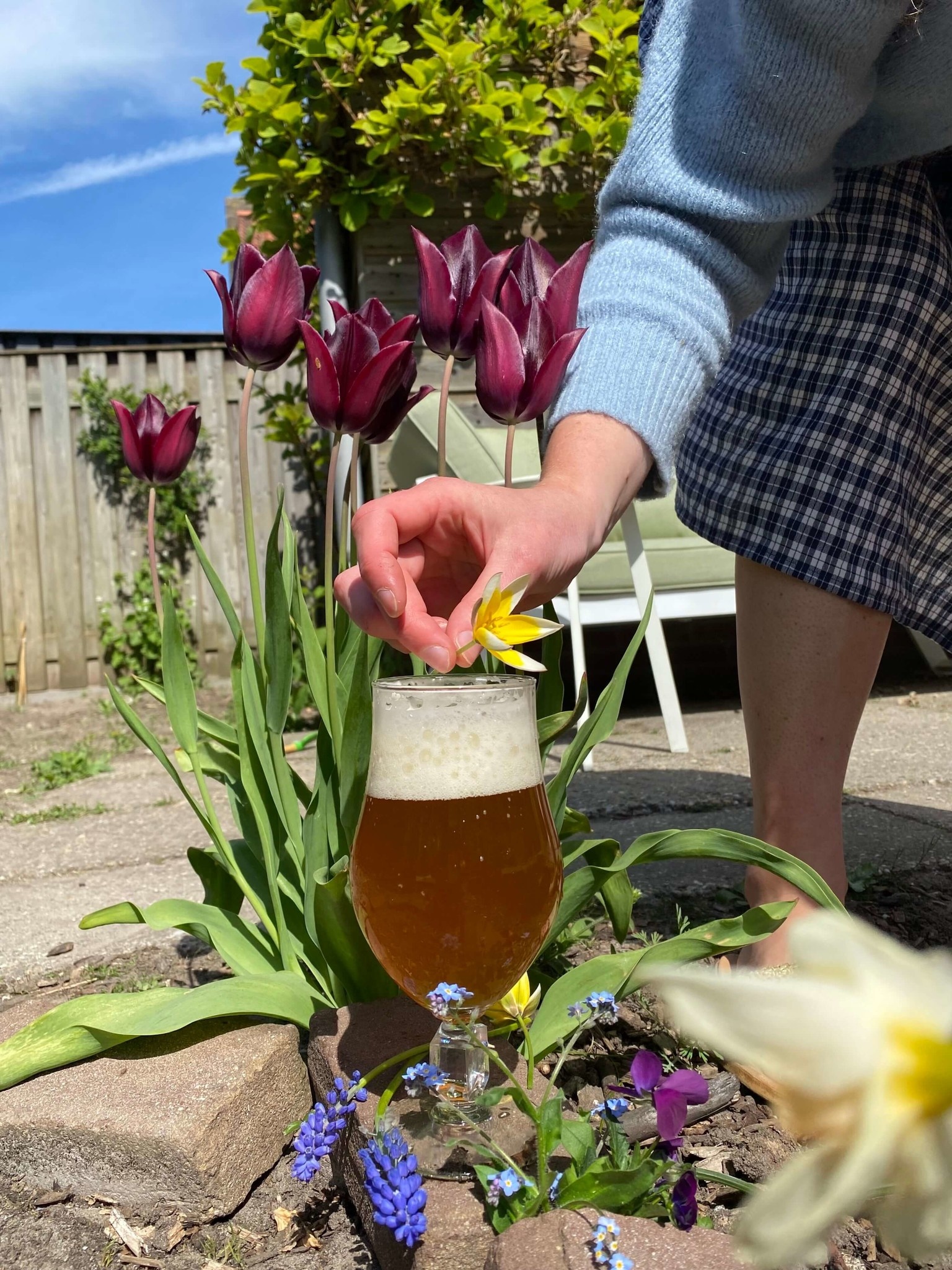 Het zonnetje op je bol, een lentebockje in je hand Het zonnetje op je bol, een lentebockje in je hand