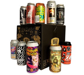 Hellobier Bierpakket IPA Internationaal 10 bieren