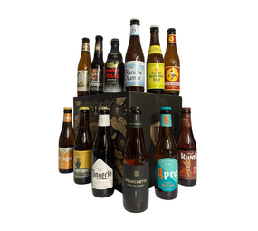 Hellobier Belgisch bierpakket 12 bieren
