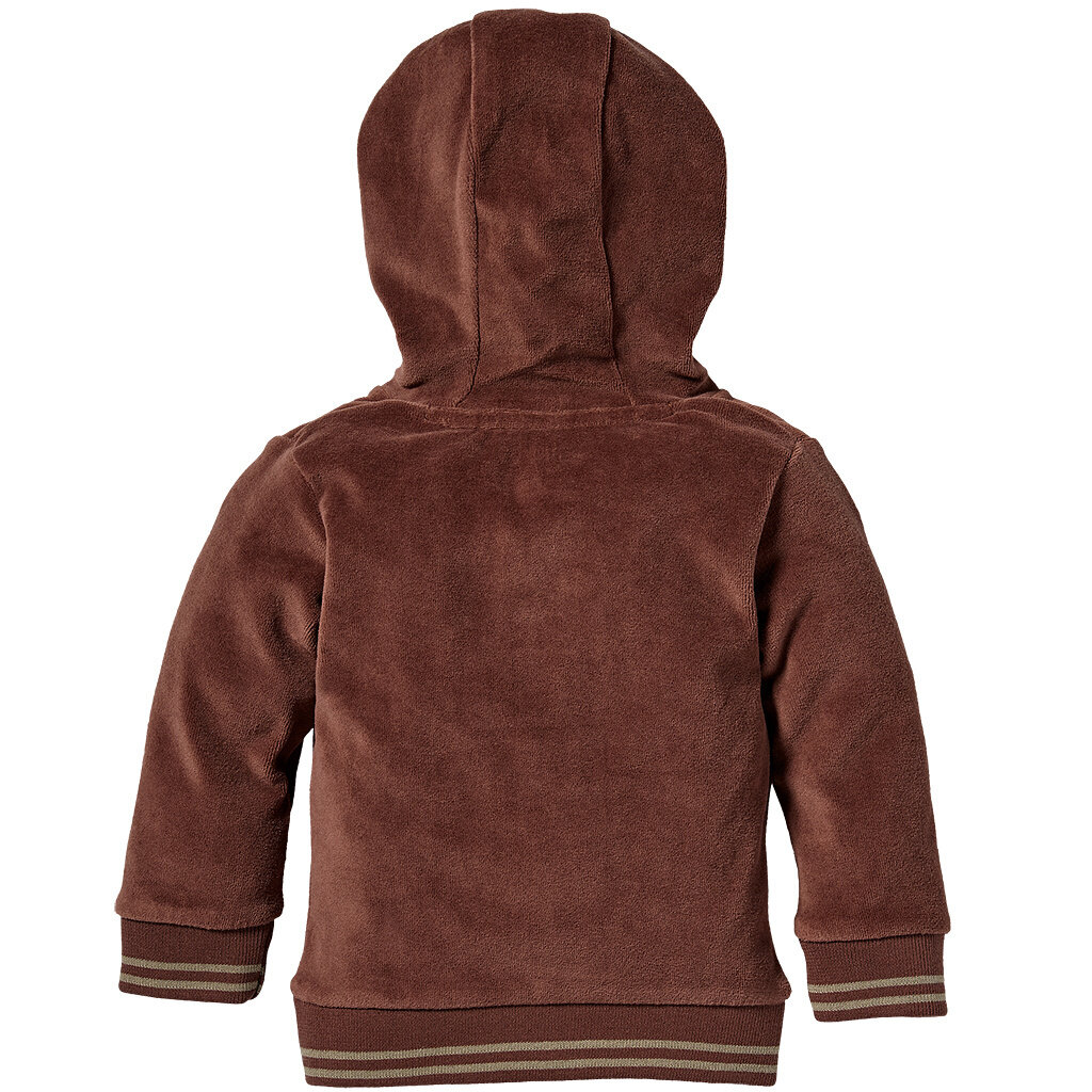 Truitje hoodie Liano (chestnut)