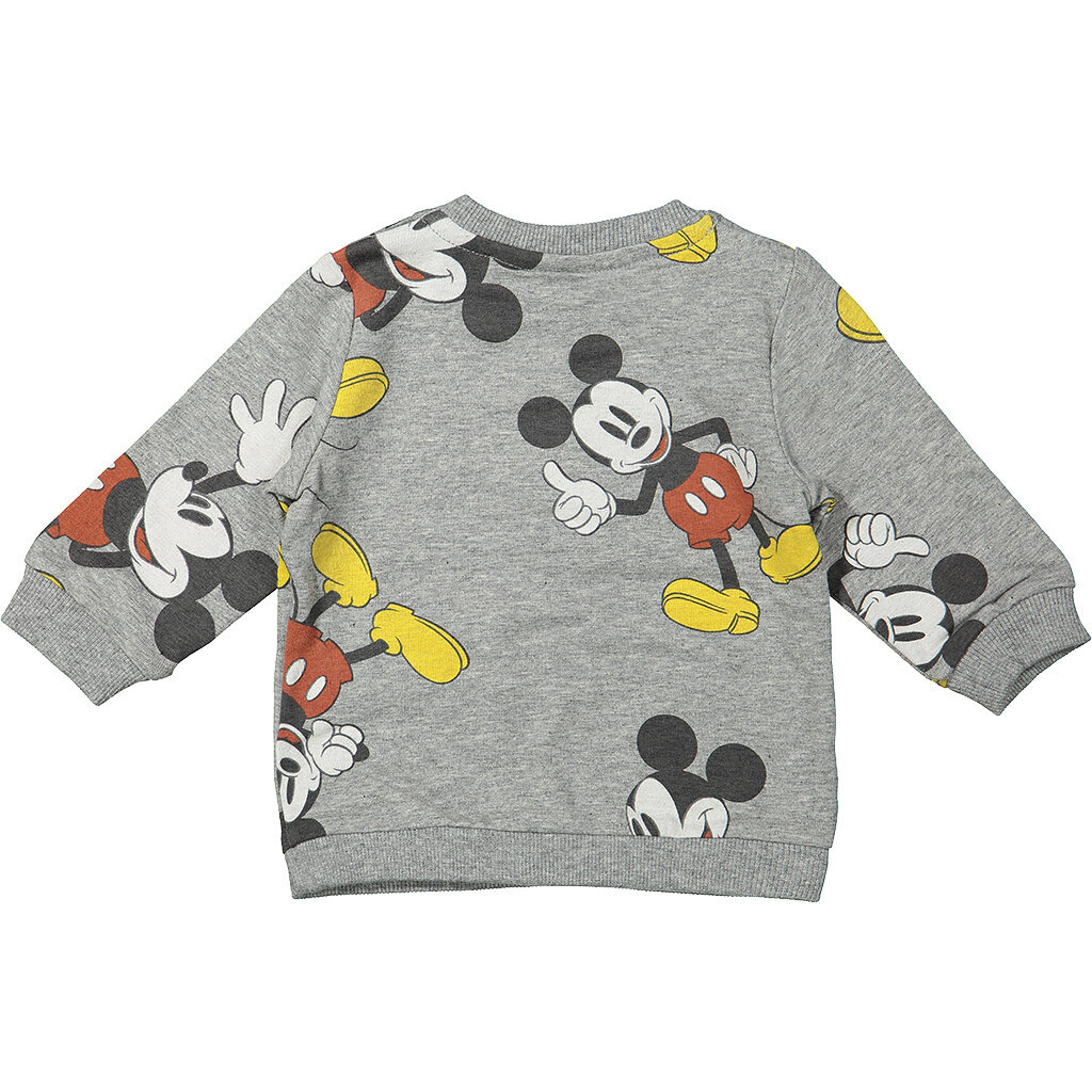 Truitje Mickey (Grey melange)