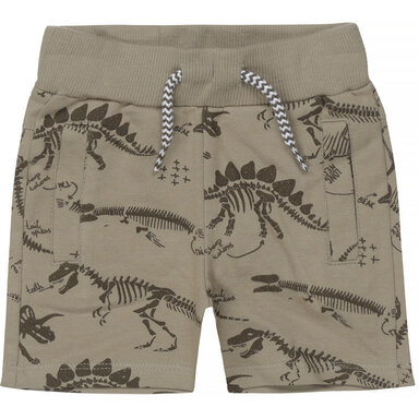 Kort broekje Adventure (faded sage)
