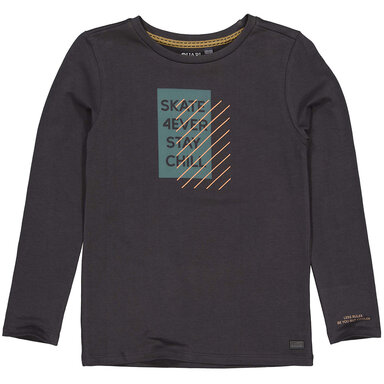 Longsleeve Taylor (grey)