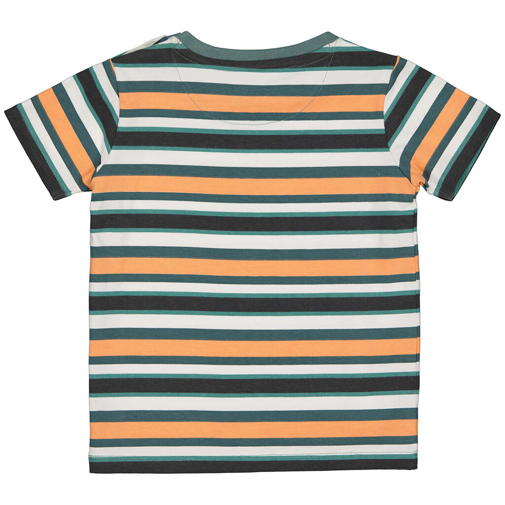 T-shirtje Vadim (aop multi colour stripe)