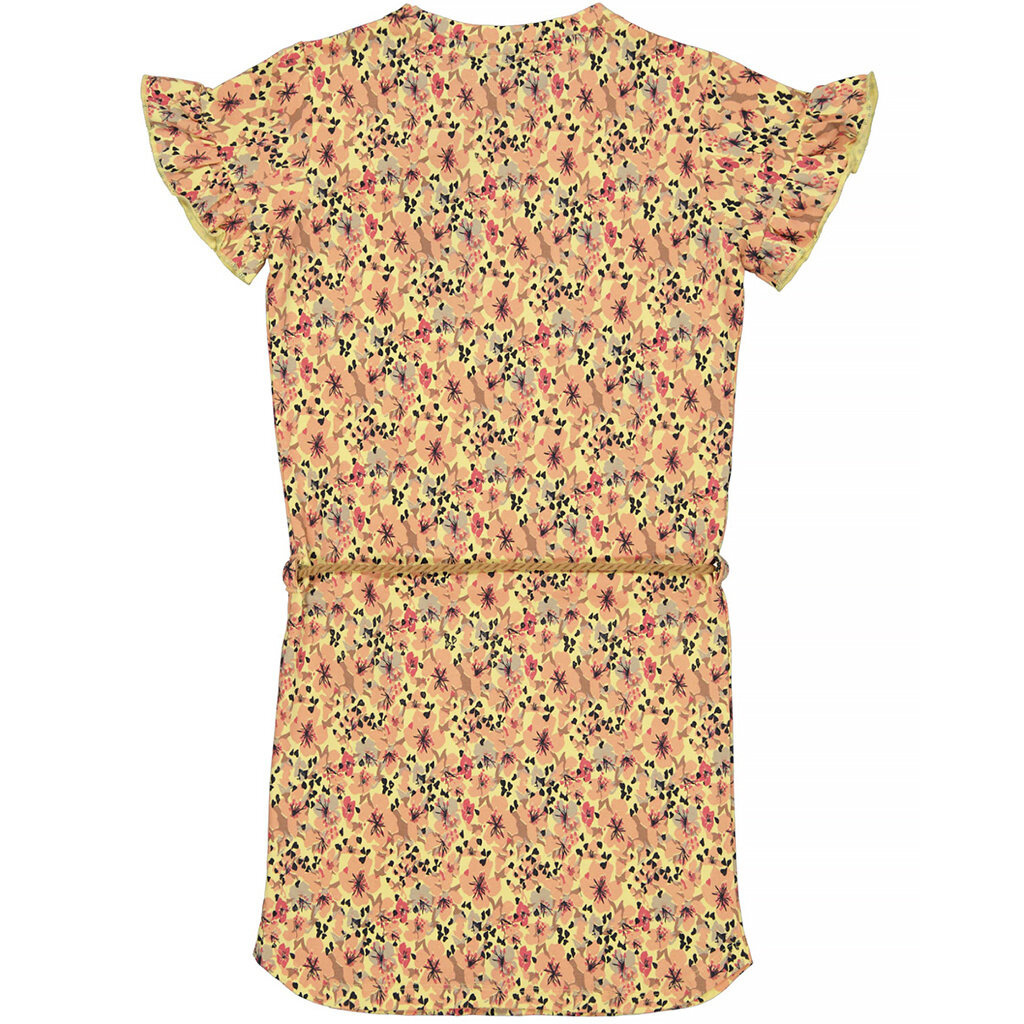 Jurk Sabien SPECIAL (aop peach florals)