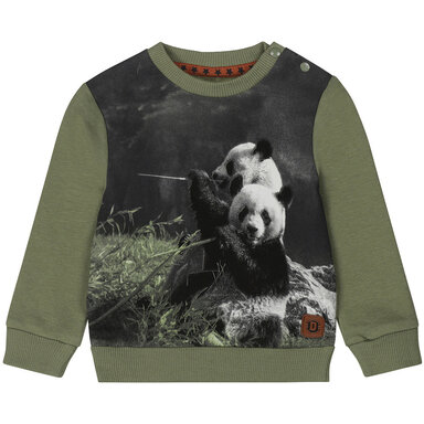 Truitje Rock (faded green)