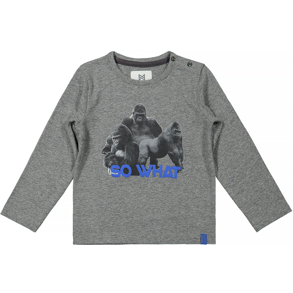 Longsleeve (grey melee)