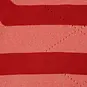Nono Trui Keta (samba red)