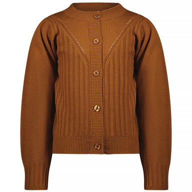 Gebreid vest B.Awesome (gingerbread)