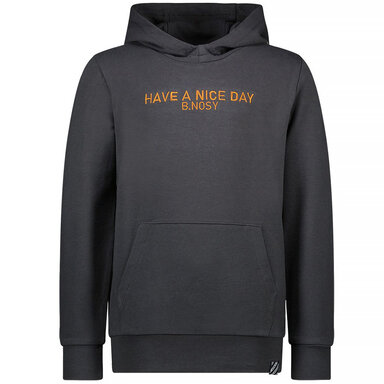 Trui hoodie B.Ready (anthracite)