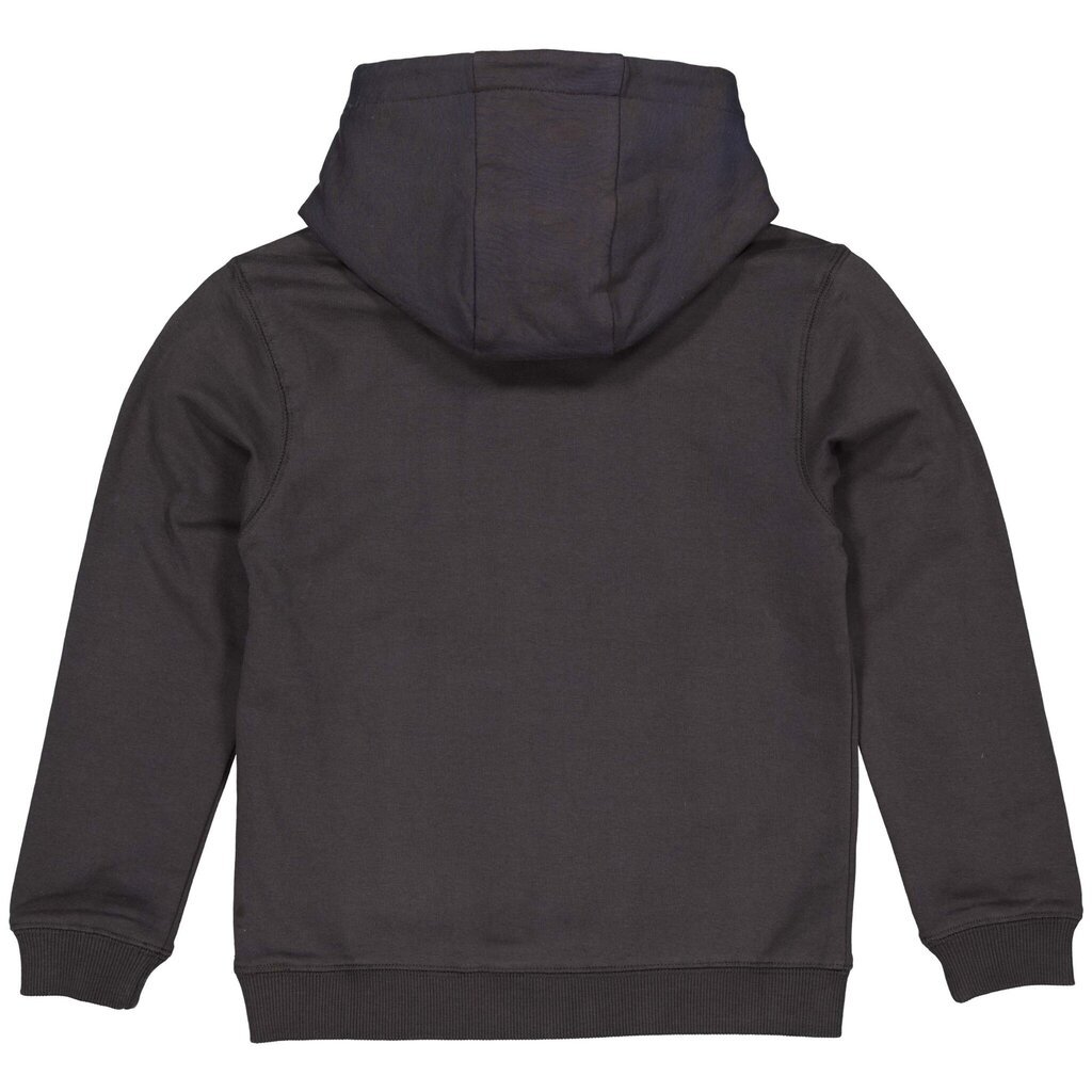 Trui hoodie Ferco (grey raven)