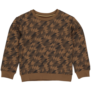 Trui Ahrem (aop brown graphic)