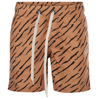 Zwembroek tiger (camel)