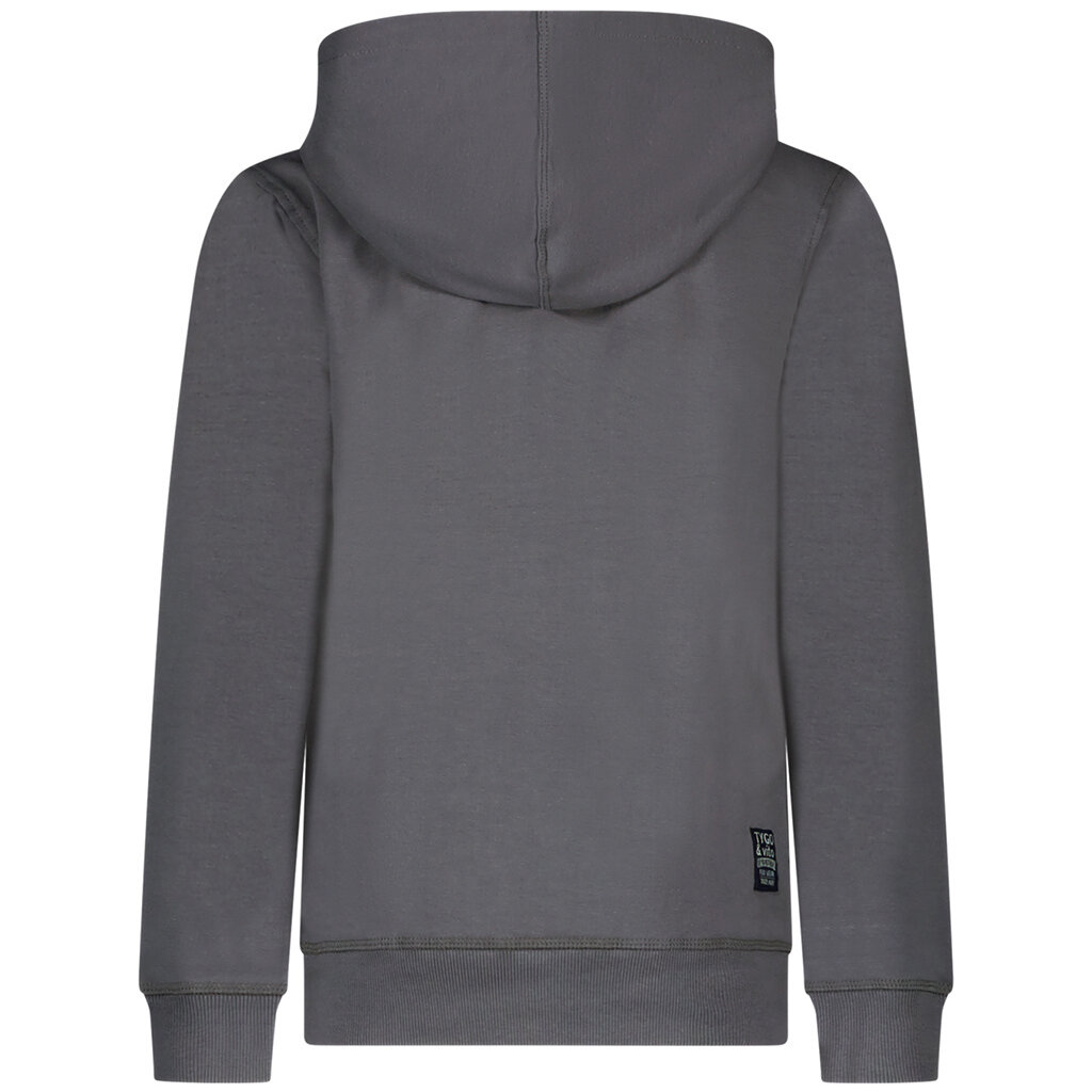 Trui hoodie Hugo (grey)